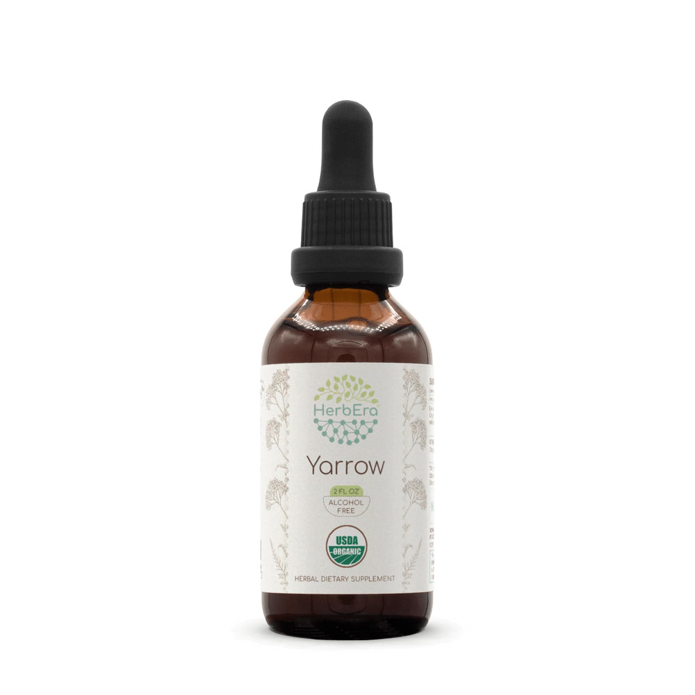 HerbEra Yarrow tincture bottle with alcohol-free formula for everyday use.