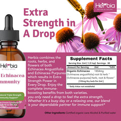 HERBIA echinacea roots, herbs, and flowers for immune support.