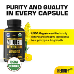 HERBIFY mullein capsules inside bottle for convenient daily use