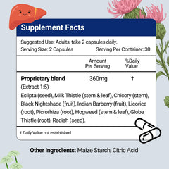 Close-up of HERBION Liver Support capsules ready for daily use