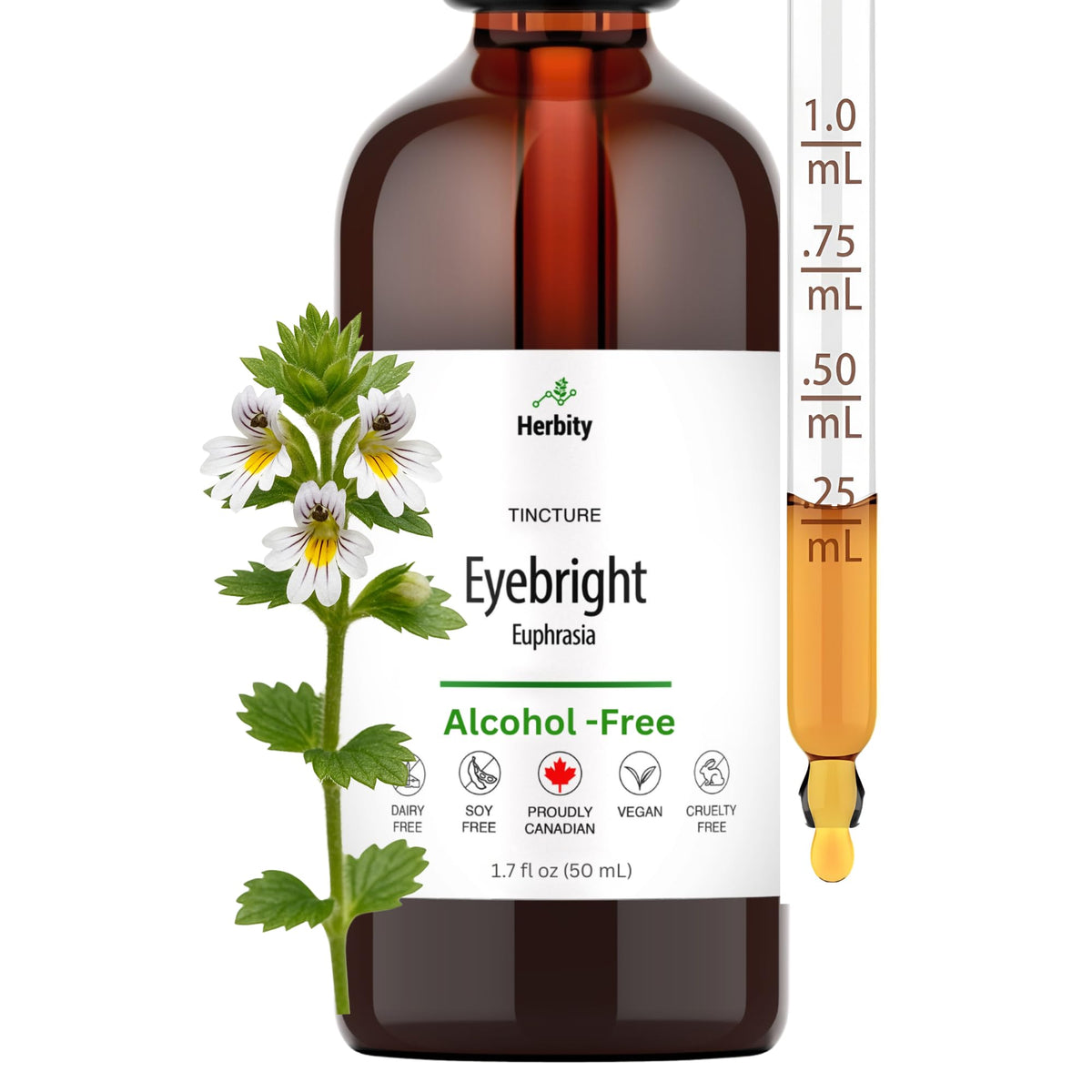 Herbity Eyebright tincture bottle closeup showcasing an alcohol-free formula for everyday use.