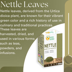 Herbs Botanica Nettle Leaf dried leaves closeup showing pure organic quality.