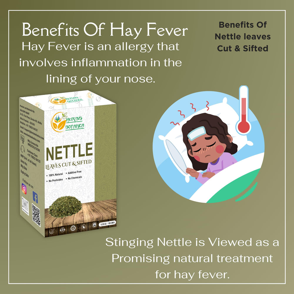 Herbs Botanica Nettle Leaf ready for infusions and soothing brews.