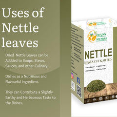 Herbs Botanica Nettle Leaf organic origin signals responsible sourcing.