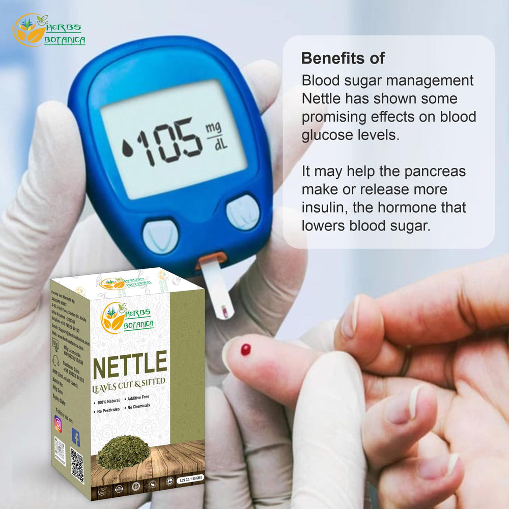 Herbs Botanica Nettle Leaf tea brew stage with vibrant leaves.