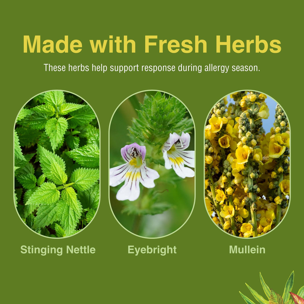 Herbs Etc Allergy ReLeaf ingredients panel detailing nettle, eyebright, and mullein