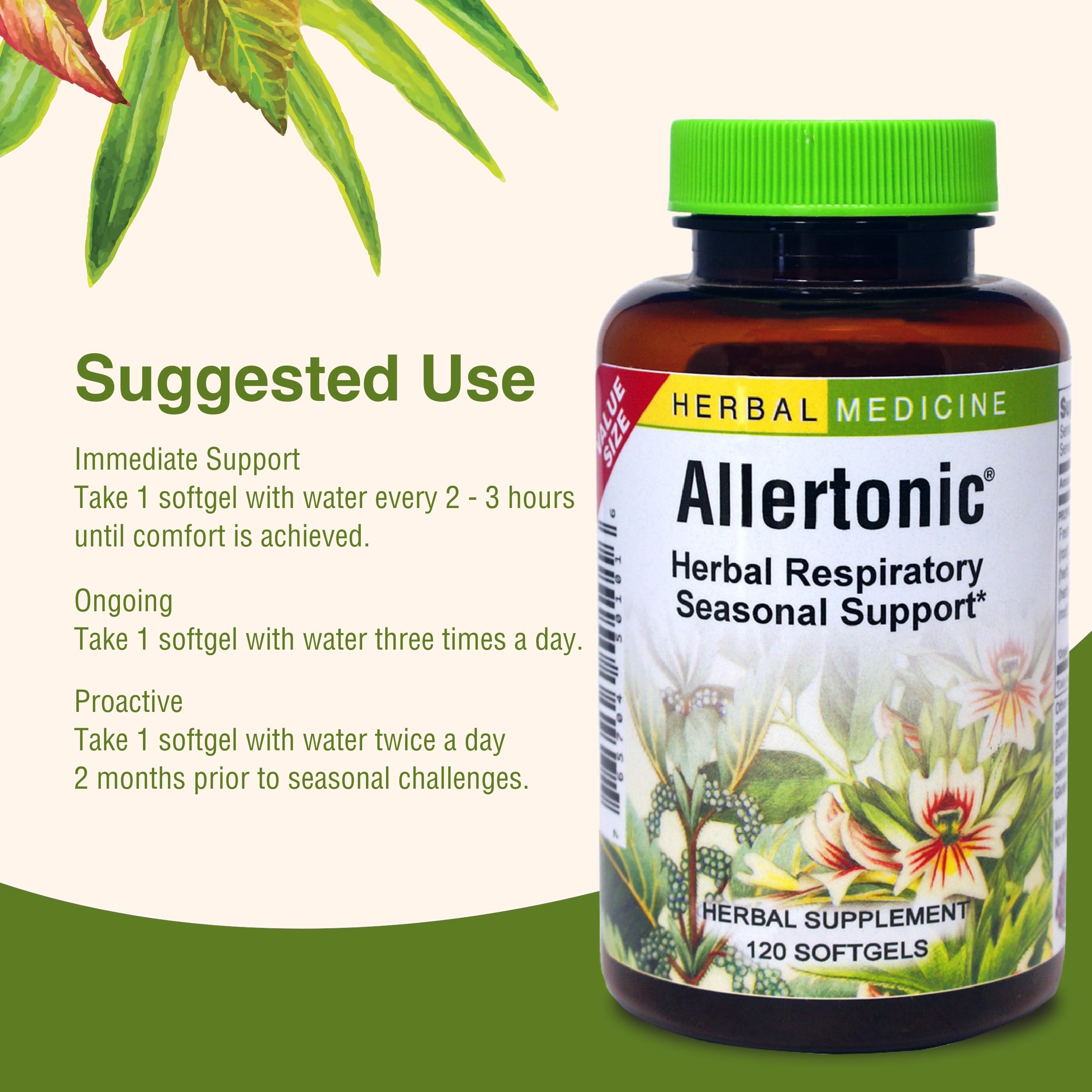 Horsetail herb in Allertonic blend for natural herbal support.