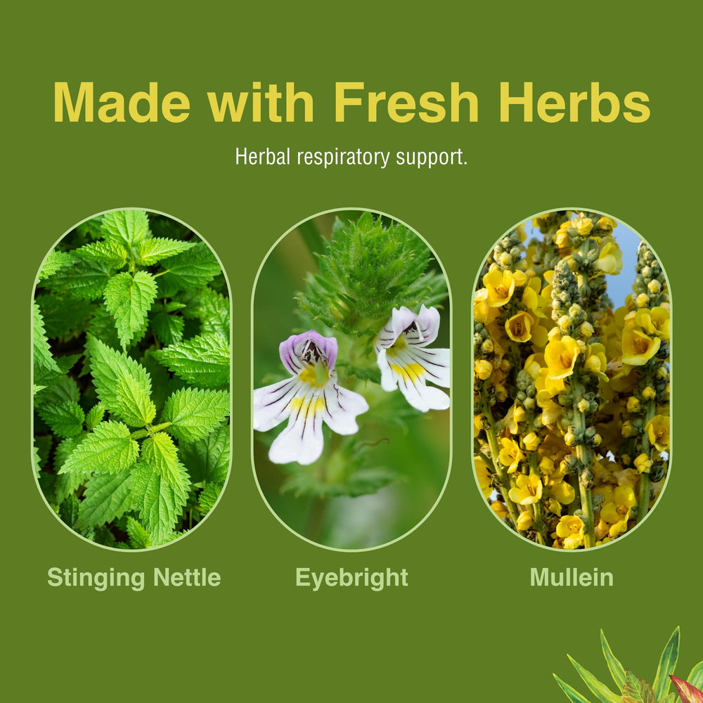 Licorice root pieces in Allertonic blend for herbal notes.