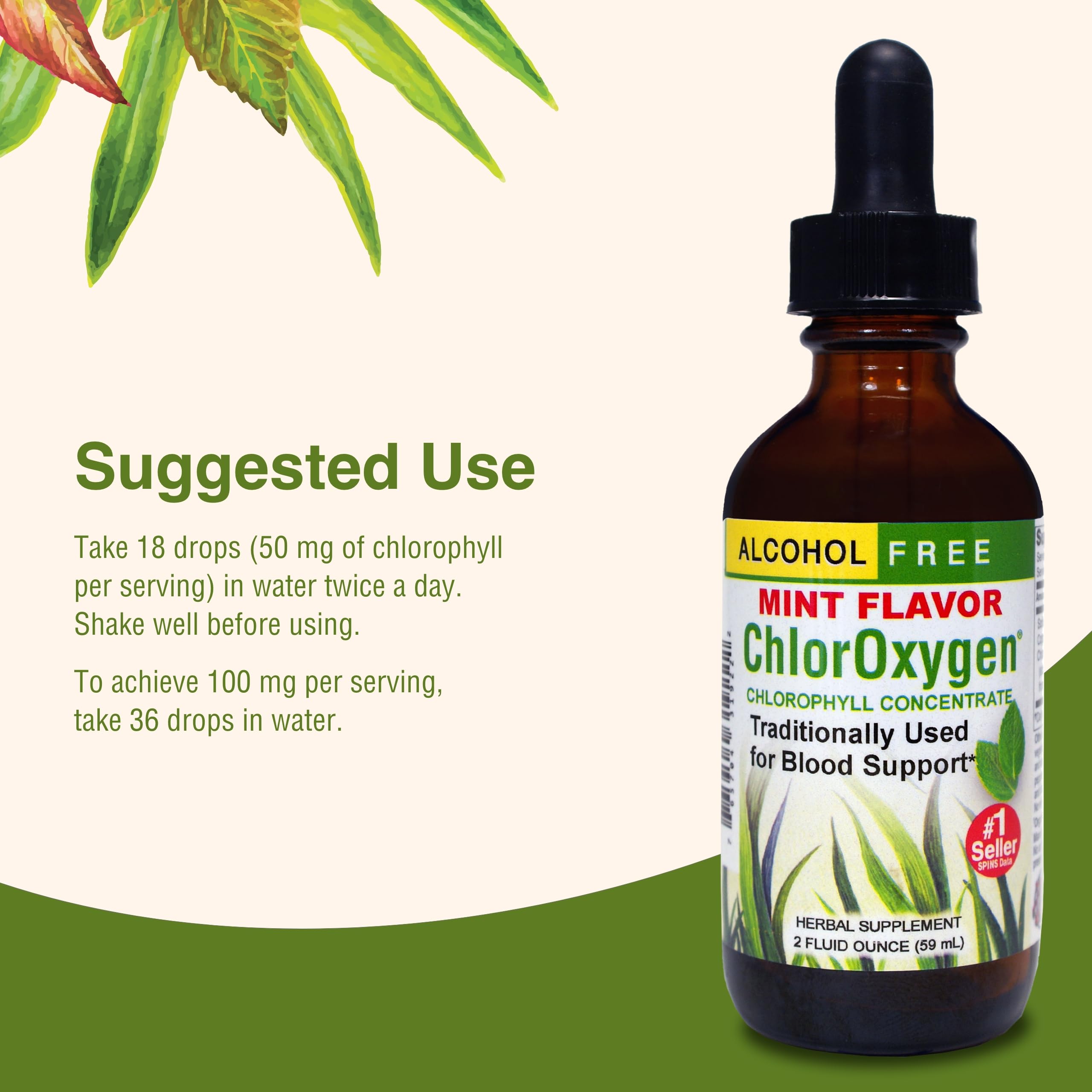 Herbs Etc. ChlorOxygen morning routine promotes natural energy and focus.