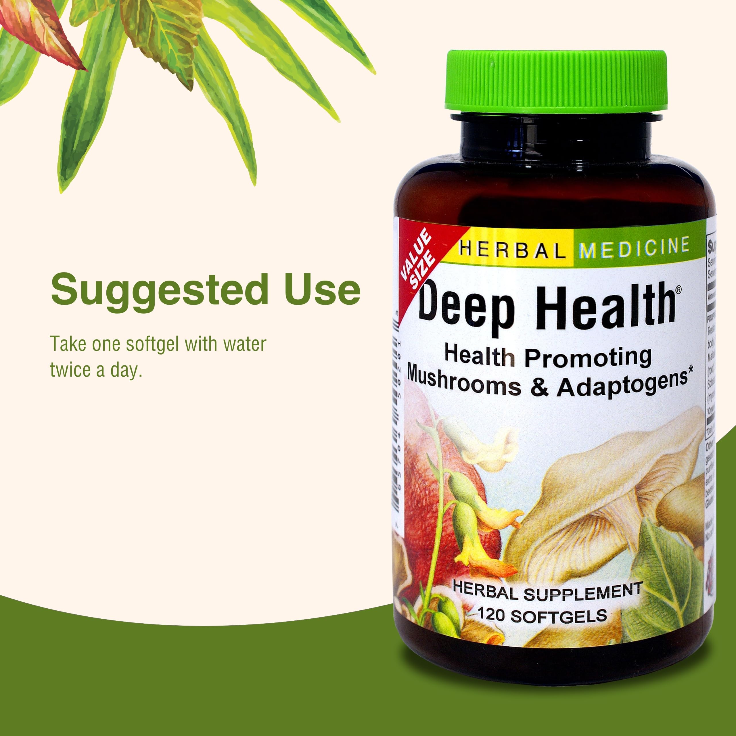 Gluten-free claim on Herbs Etc. Deep Health packaging emphasizes a pure herbal formula.