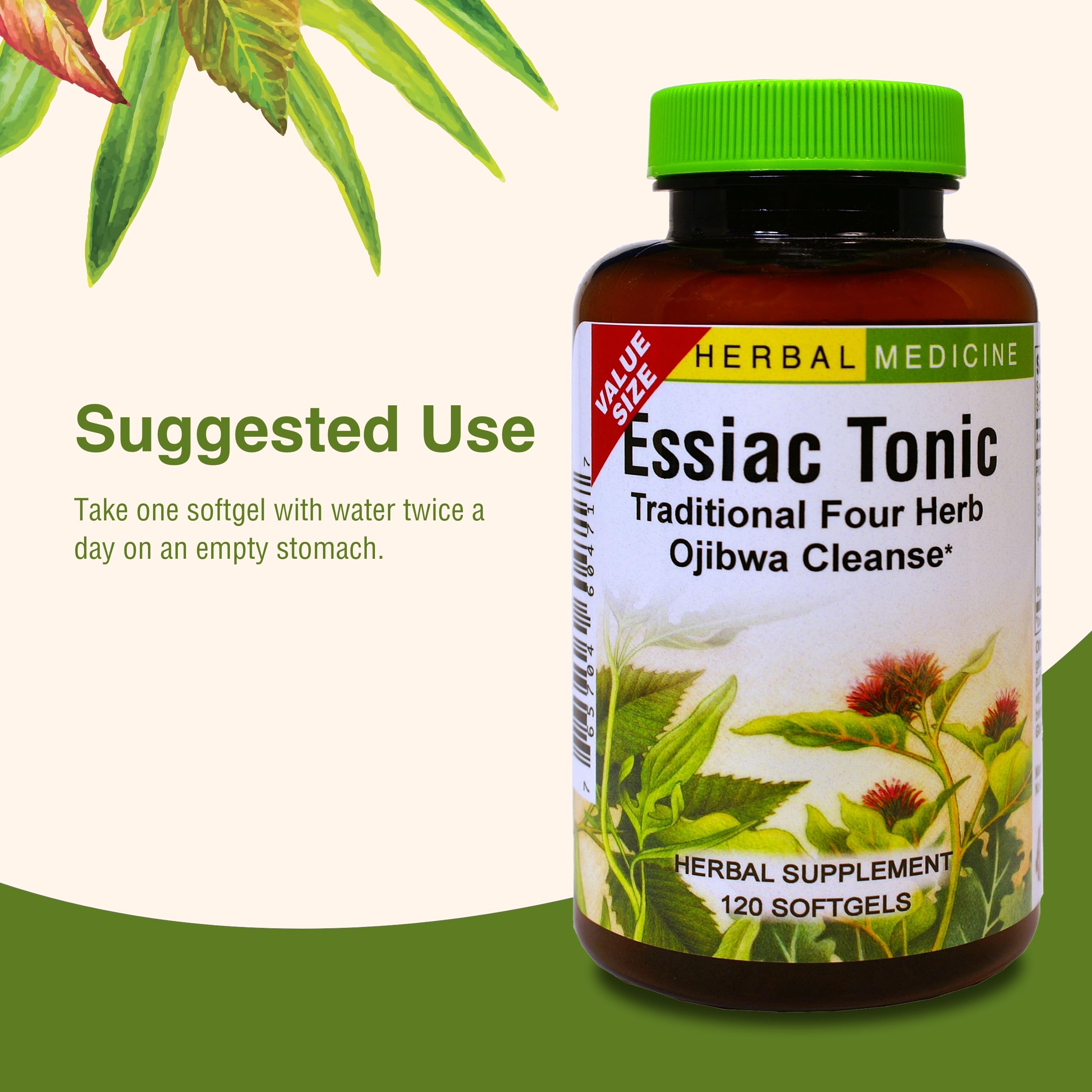 Herbs Etc. Essiac Tonic Softgels lifestyle shot illustrates routine wellness usage