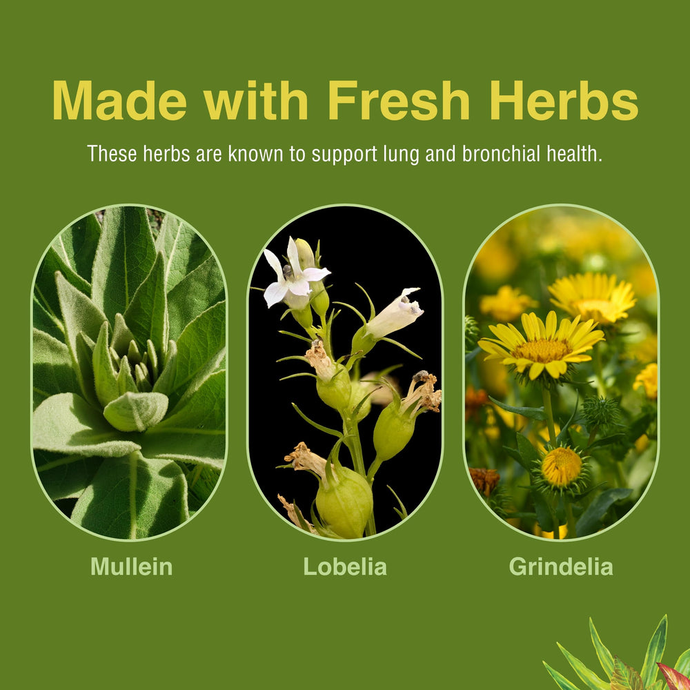 Herbs Etc. grindelia ingredient close-up in the blend.