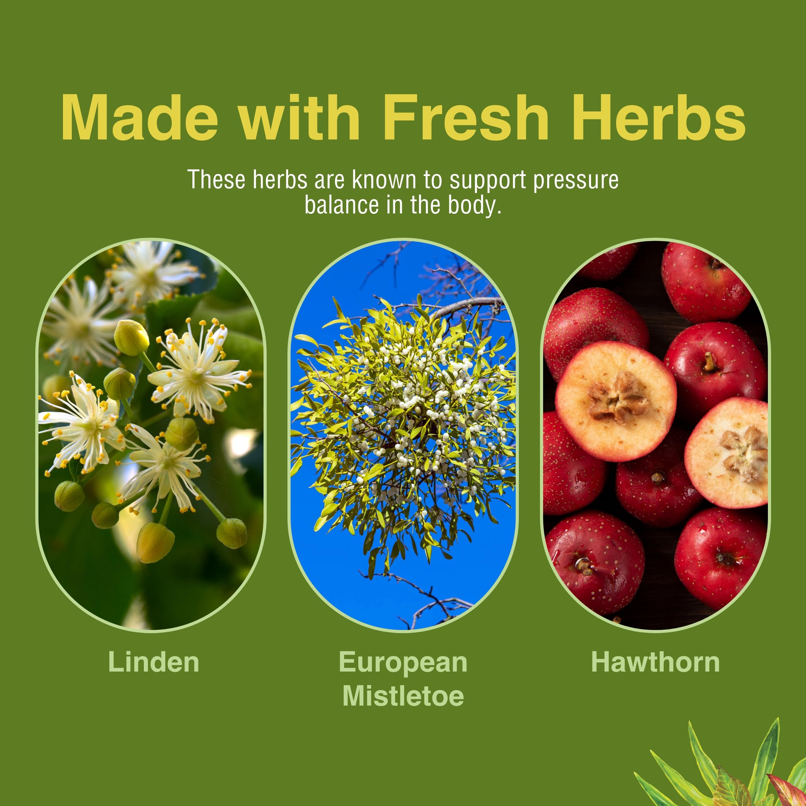 Herbs Etc. HB Pressure Tonic linden-flower closeup – soothing herb notes in a daily ritual.