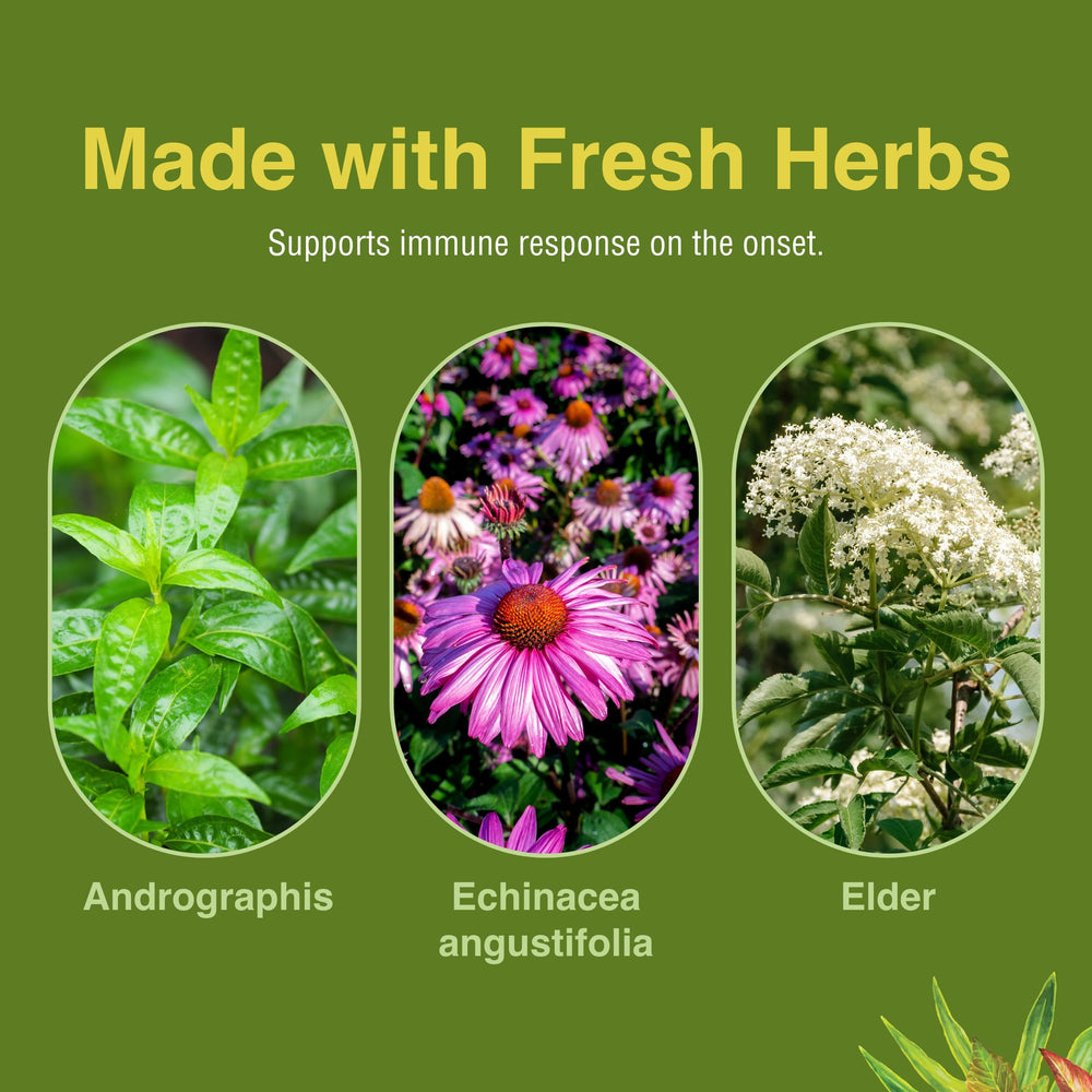 Herbs Etc. Immune Alert bottle stack, shelf-ready for seasonal routines.