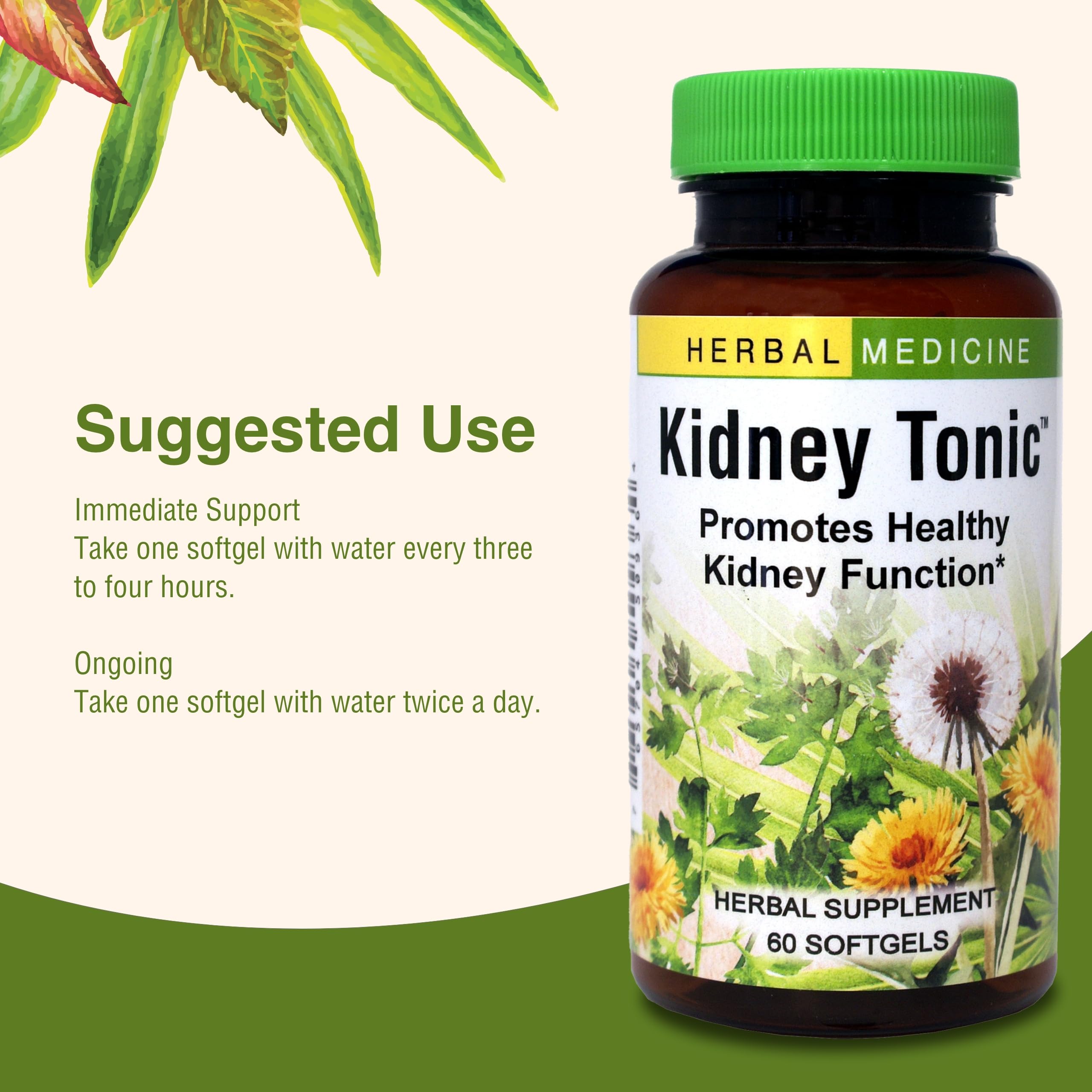 Herbs Etc Kidney Tonic packaging inside shows dosage guidance and gluten-free claim