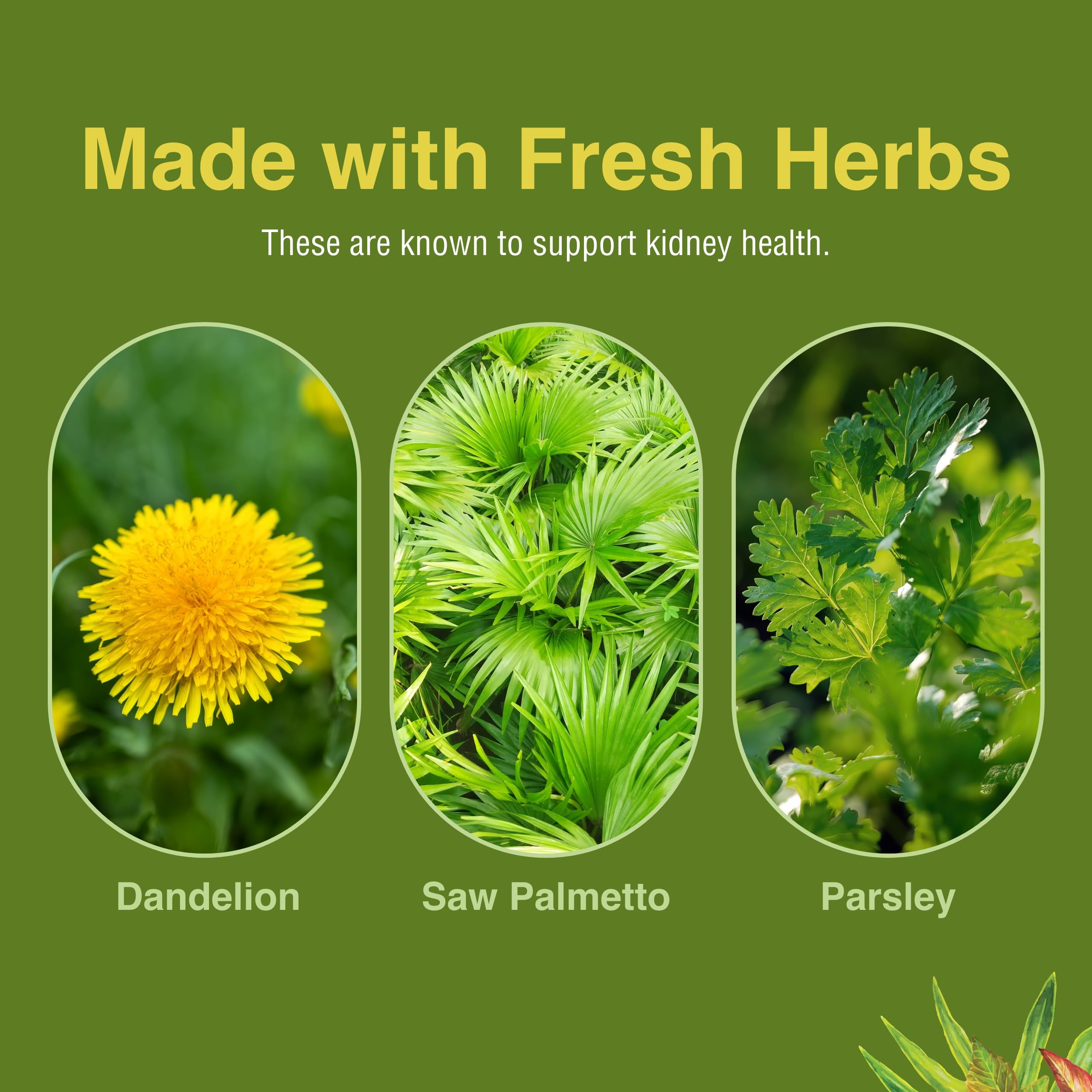 Herbs Etc Kidney Tonic softgels closeup for easy swallowing and dosing