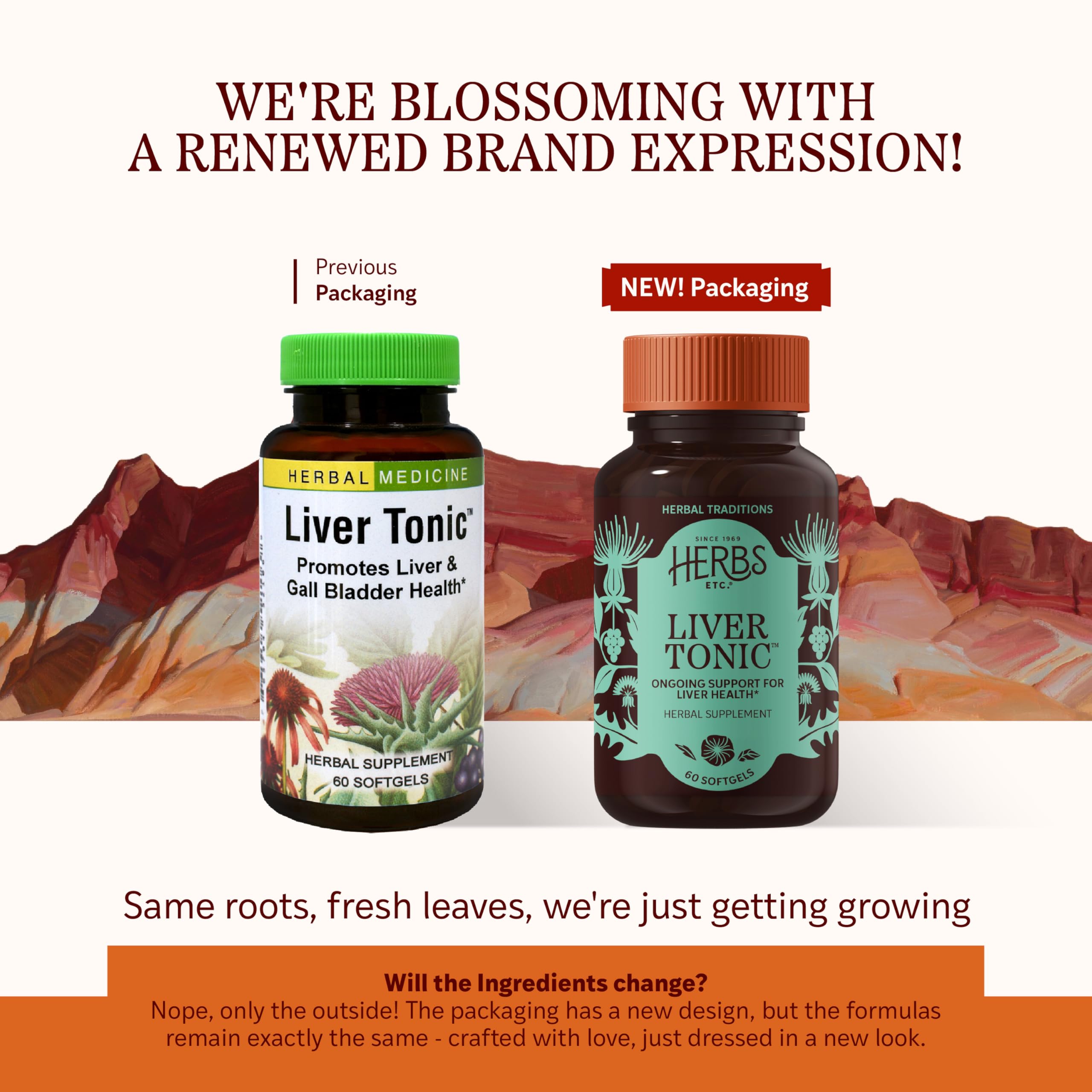 Herbs, Etc. Liver Tonic softgels closeup for daily wellness