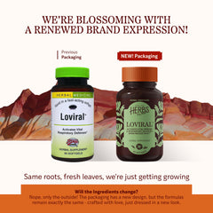 Herbs, Etc. Loviral bottle back label highlights ingredients and usage guidance.