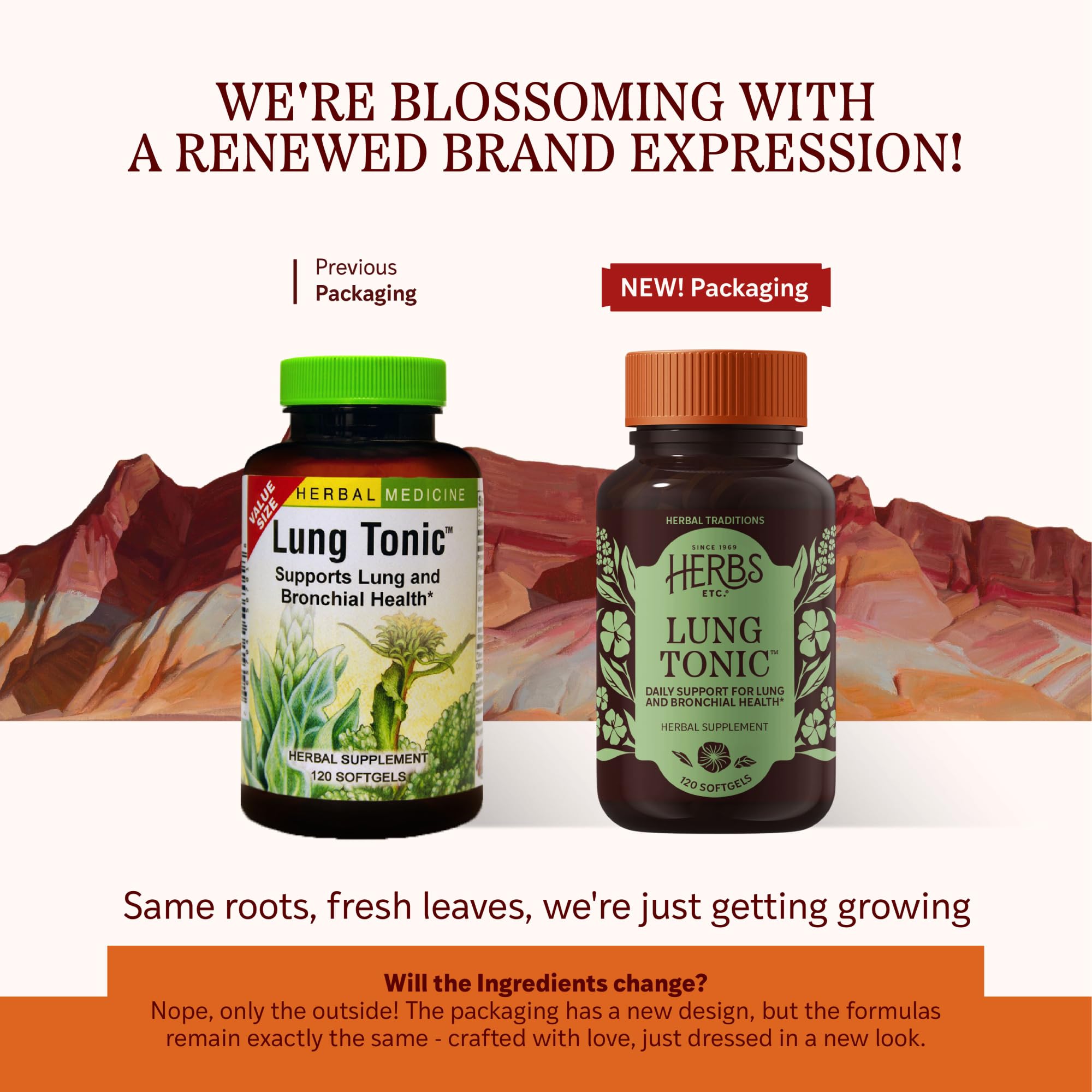 Herbs Etc. Lung Tonic bottle label close-up highlighting organic ingredients