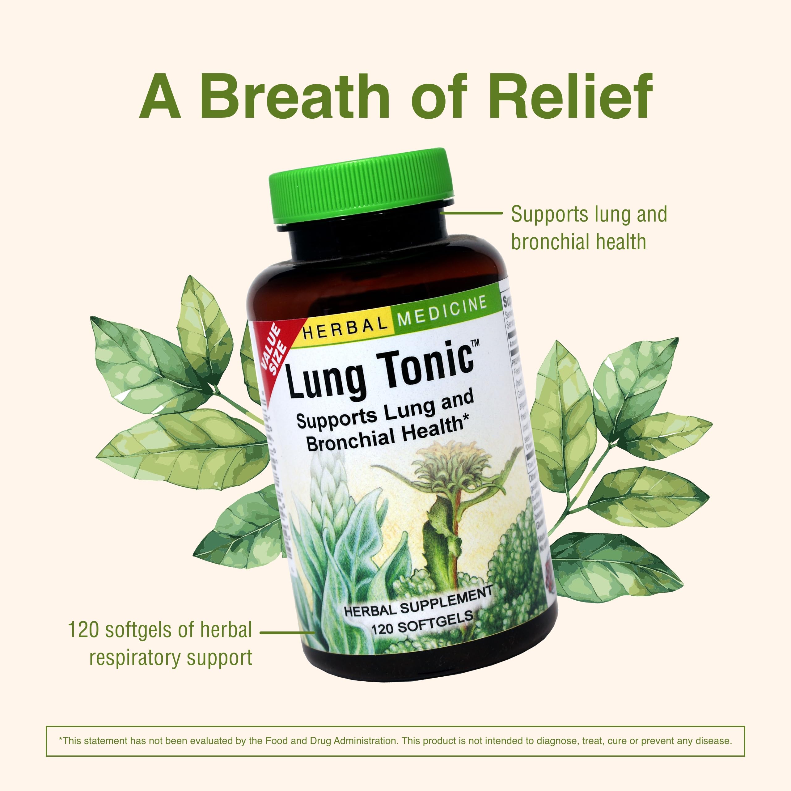 Herbs Etc. Lung Tonic ingredients featuring mullein horehound and grindelia