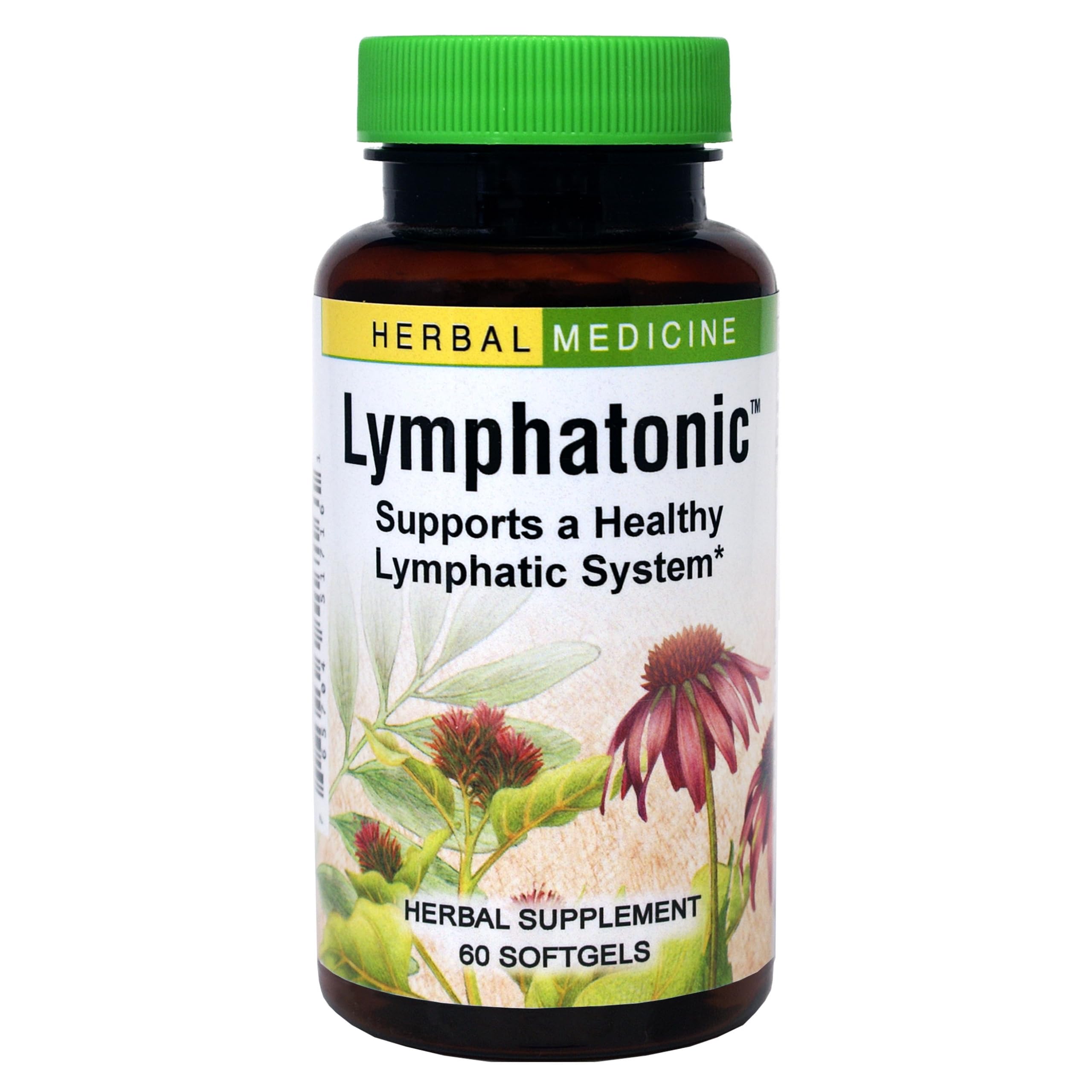 Herbs Etc. Lymphatonic SG bottle front, showcasing herbal packaging for lymph support.