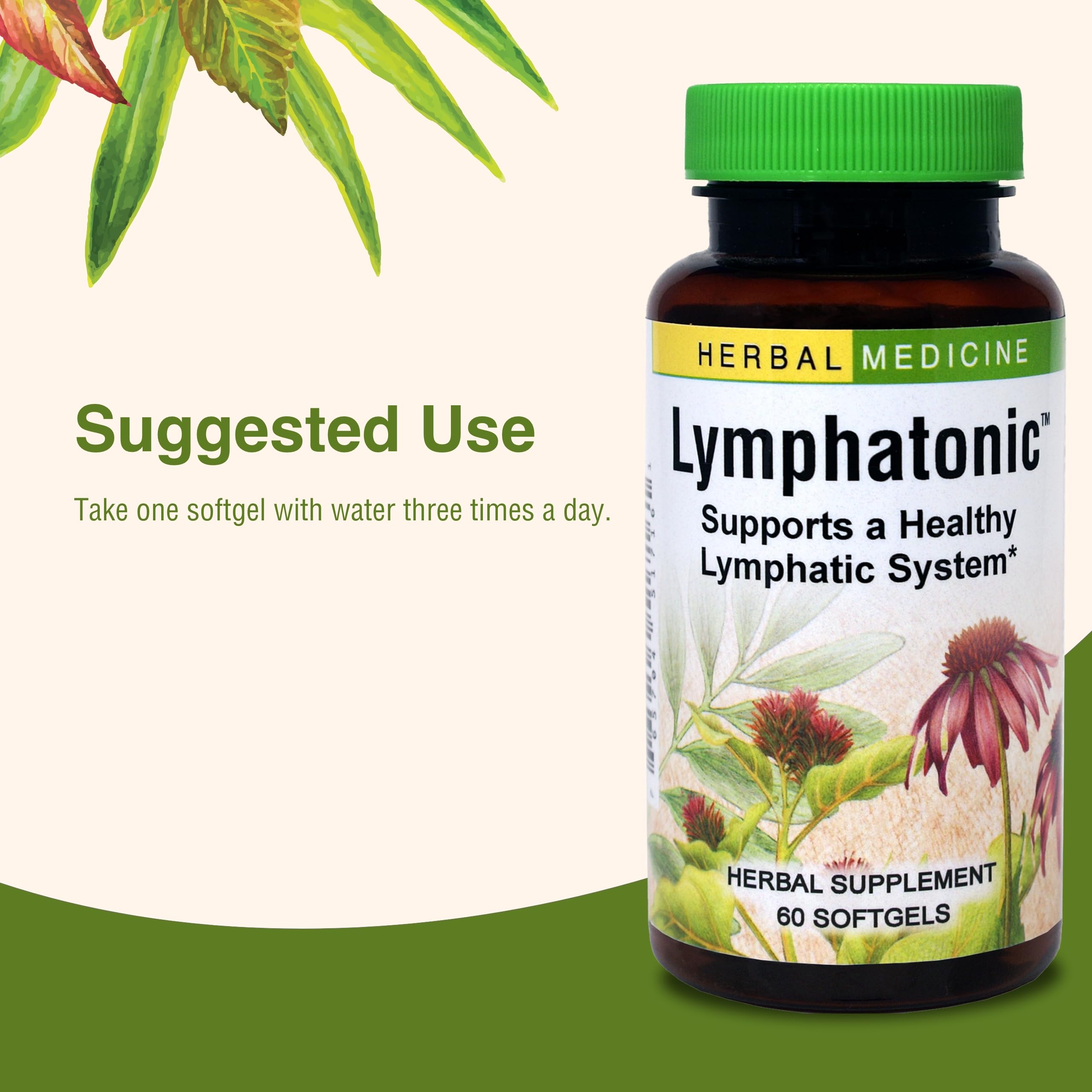 Herbs Etc. Lymphatonic SG brand packaging, reflecting trusted herbal formulations.