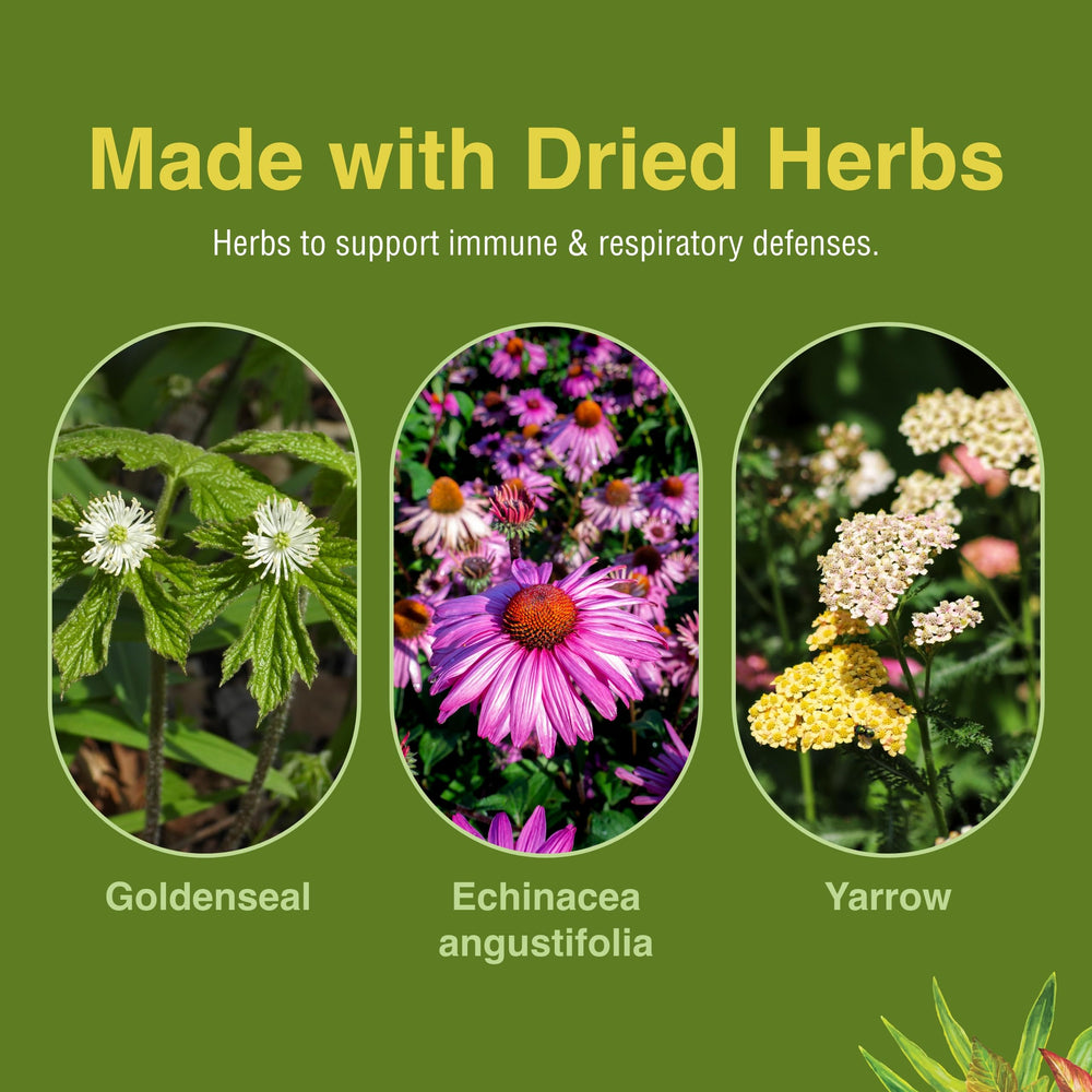 Herbs Etc. Peak Defense yarrow illustration emphasizing herbal blend.