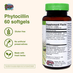 Phytocillin softgels bottle pour shows easy daily dosing