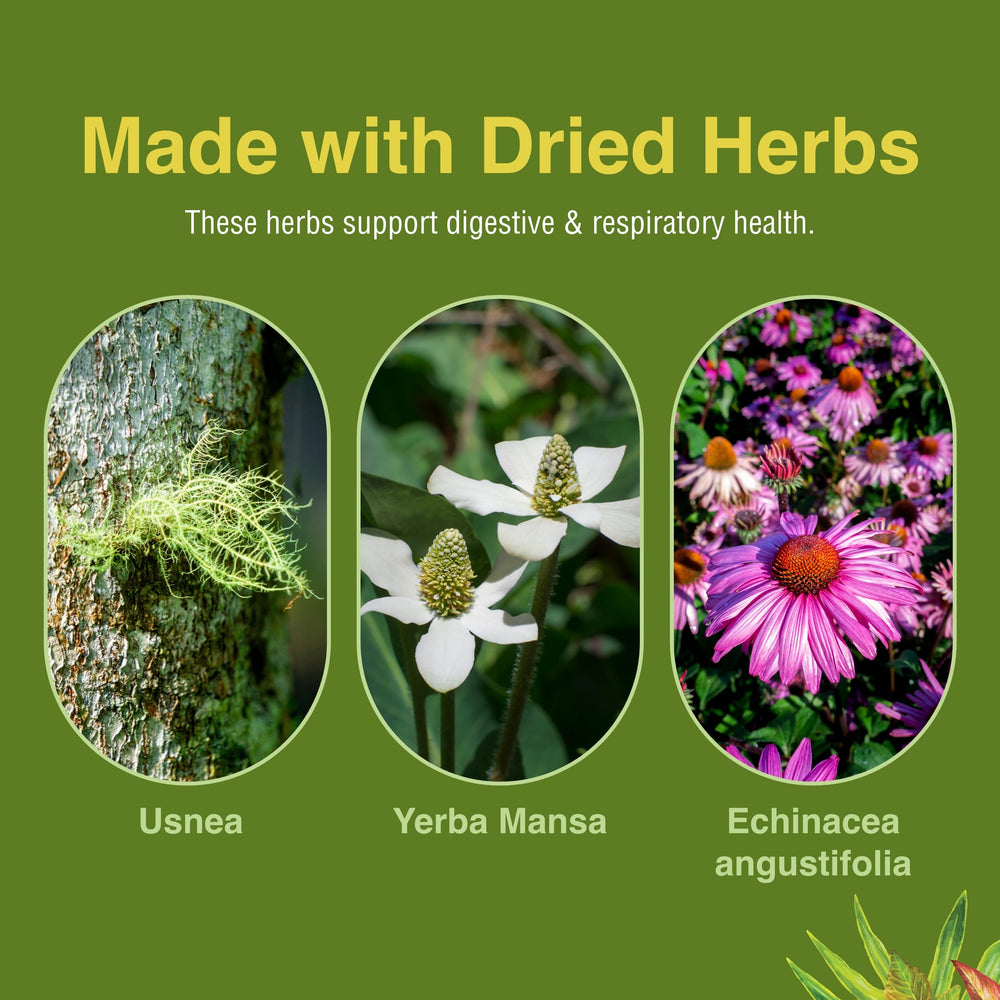 Herbs Etc. Phytocillin softgels dosage in hand illustrates grab-and-go use