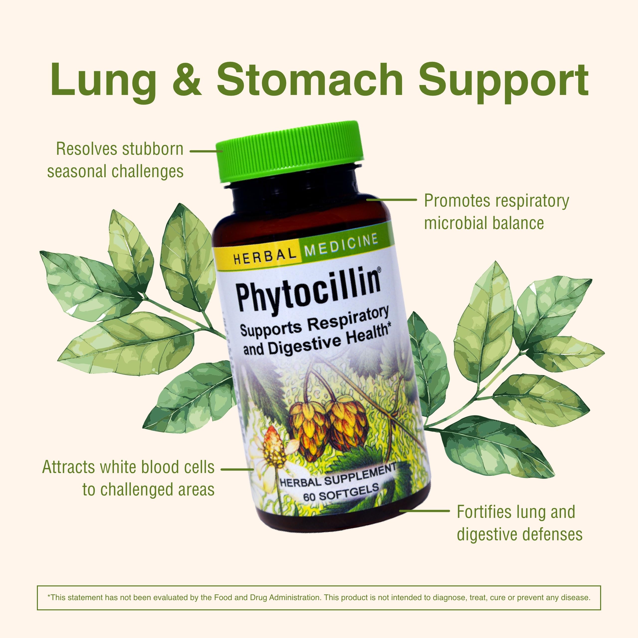 Herbs Etc. Phytocillin softgels packaging box on shelf for easy purchase