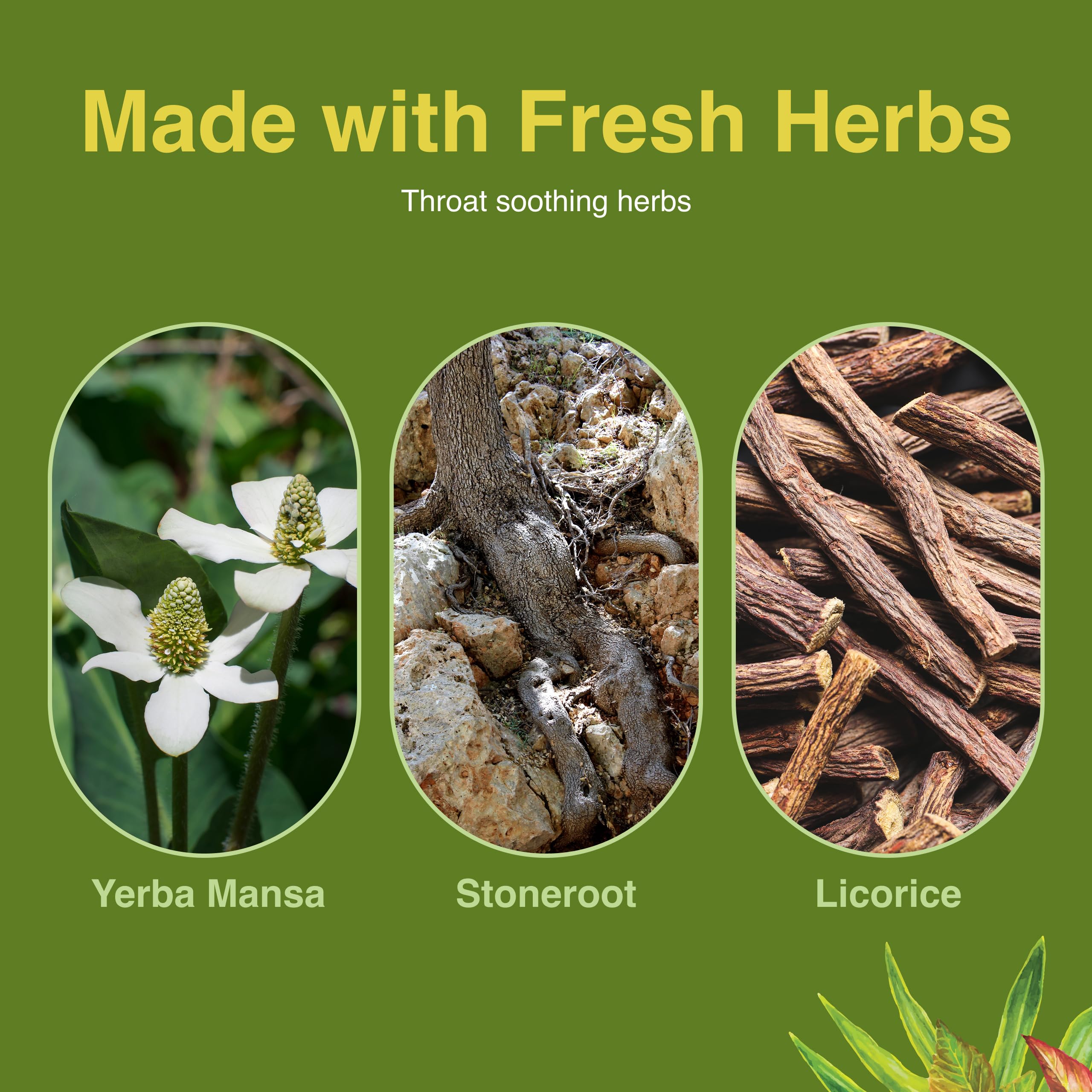 Herbs Etc. Singer's Saving Grace honey lemon color suggests natural flavor and throat comfort.