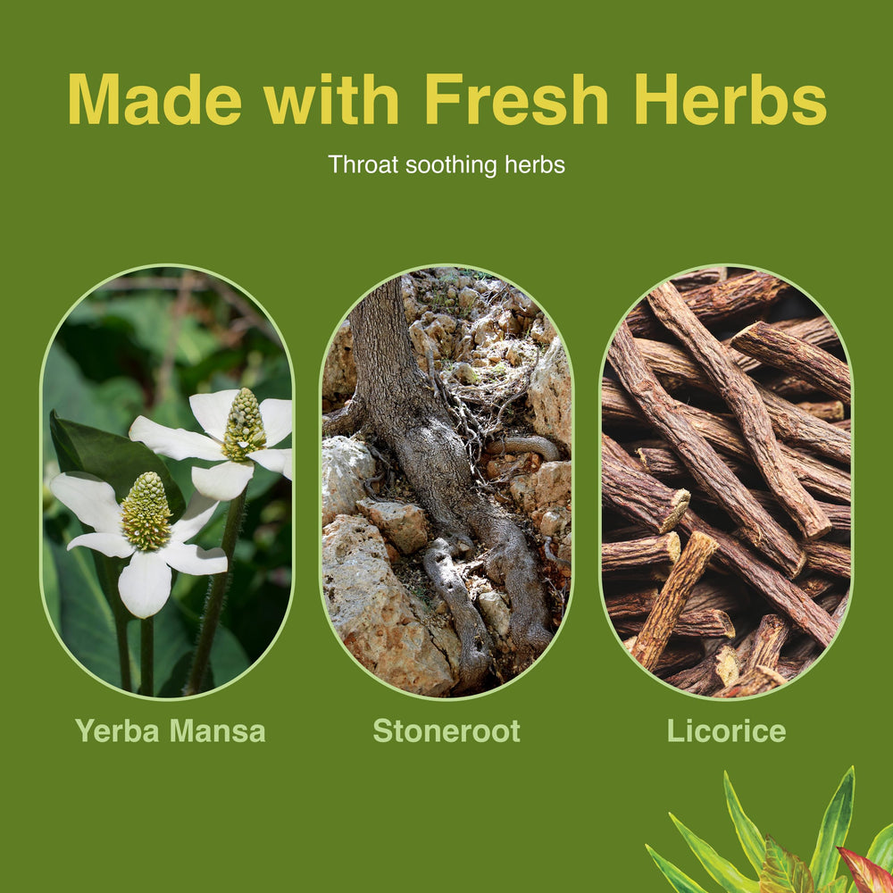 Herbs Etc. Singer's Saving Grace honey lemon color suggests natural flavor and throat comfort.