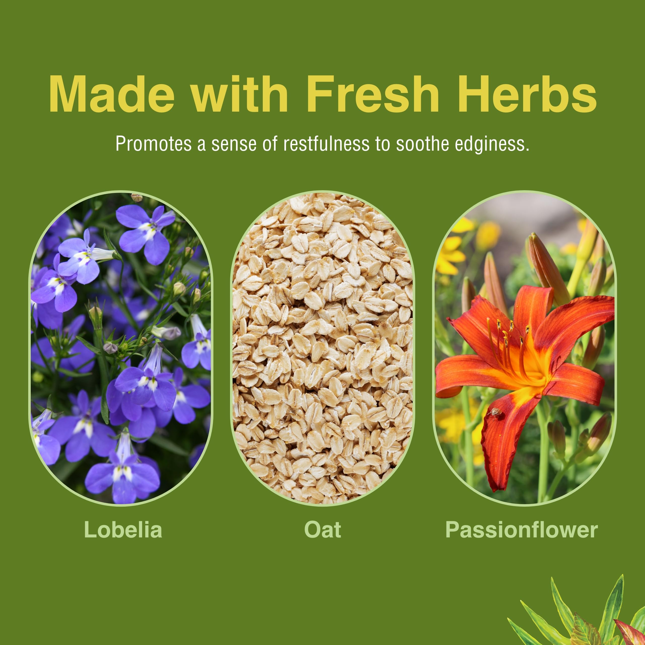 Herbs Etc. Smoke Free softgels packaging box demonstrates ready-to-use lifestyle aid.