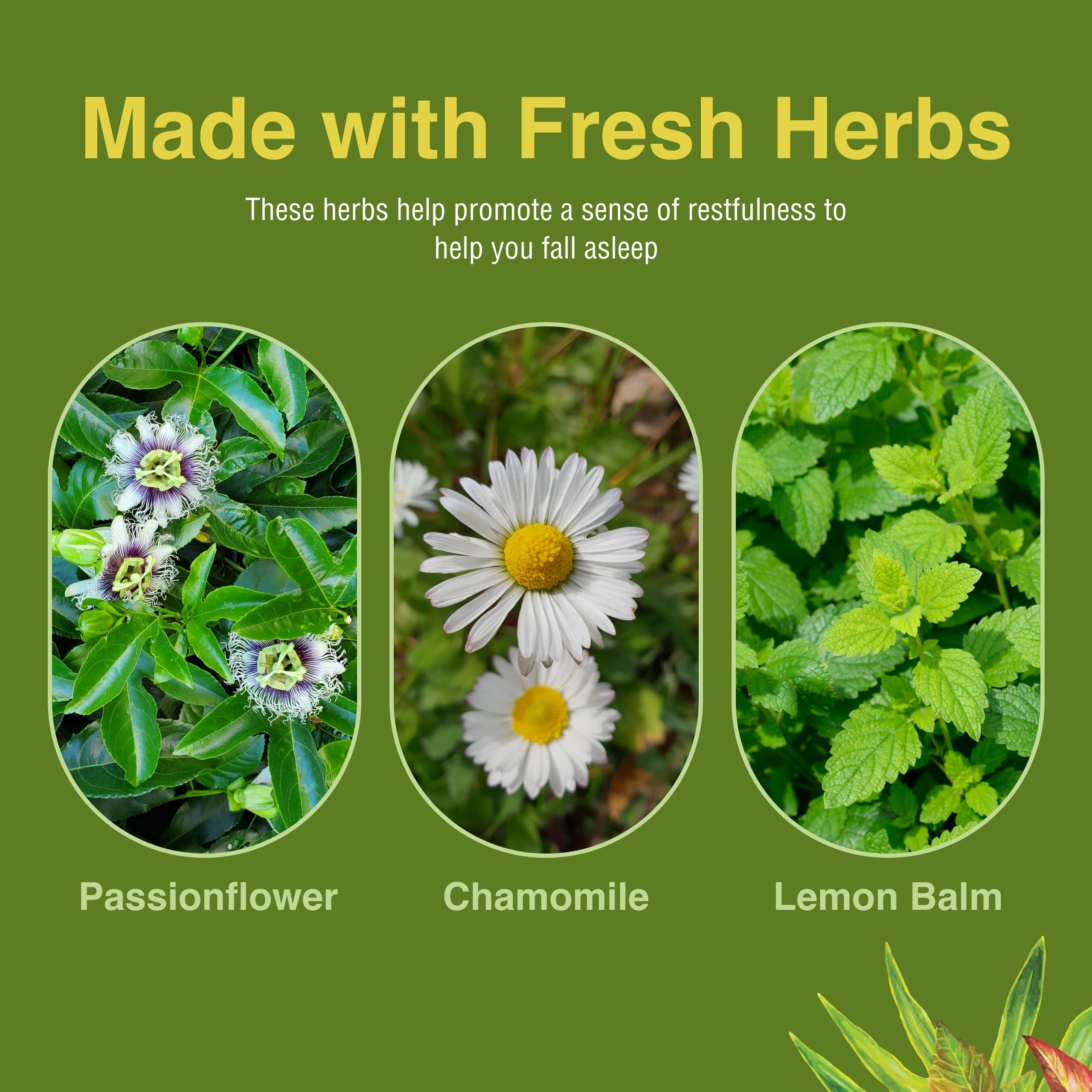 Open softgel capsule revealing herbal interior