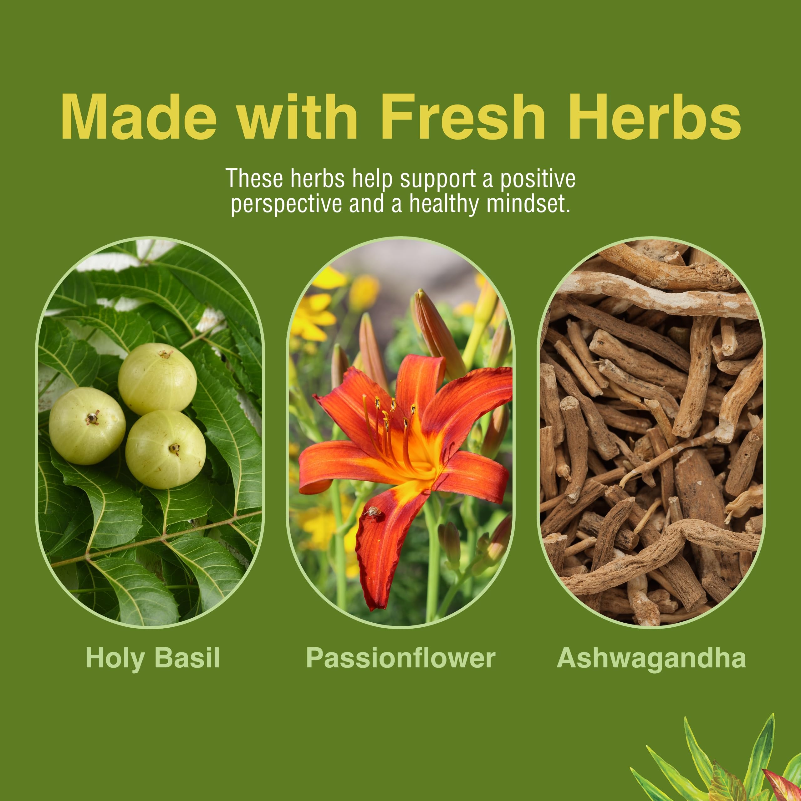 Herbs Etc Stress ReLeaf bottle label showing gluten-free formulation.