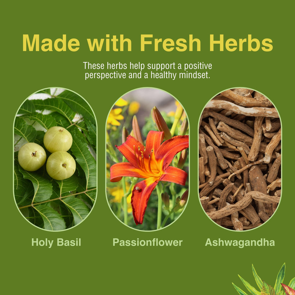 Herbs Etc Stress ReLeaf bottle label showing gluten-free formulation.