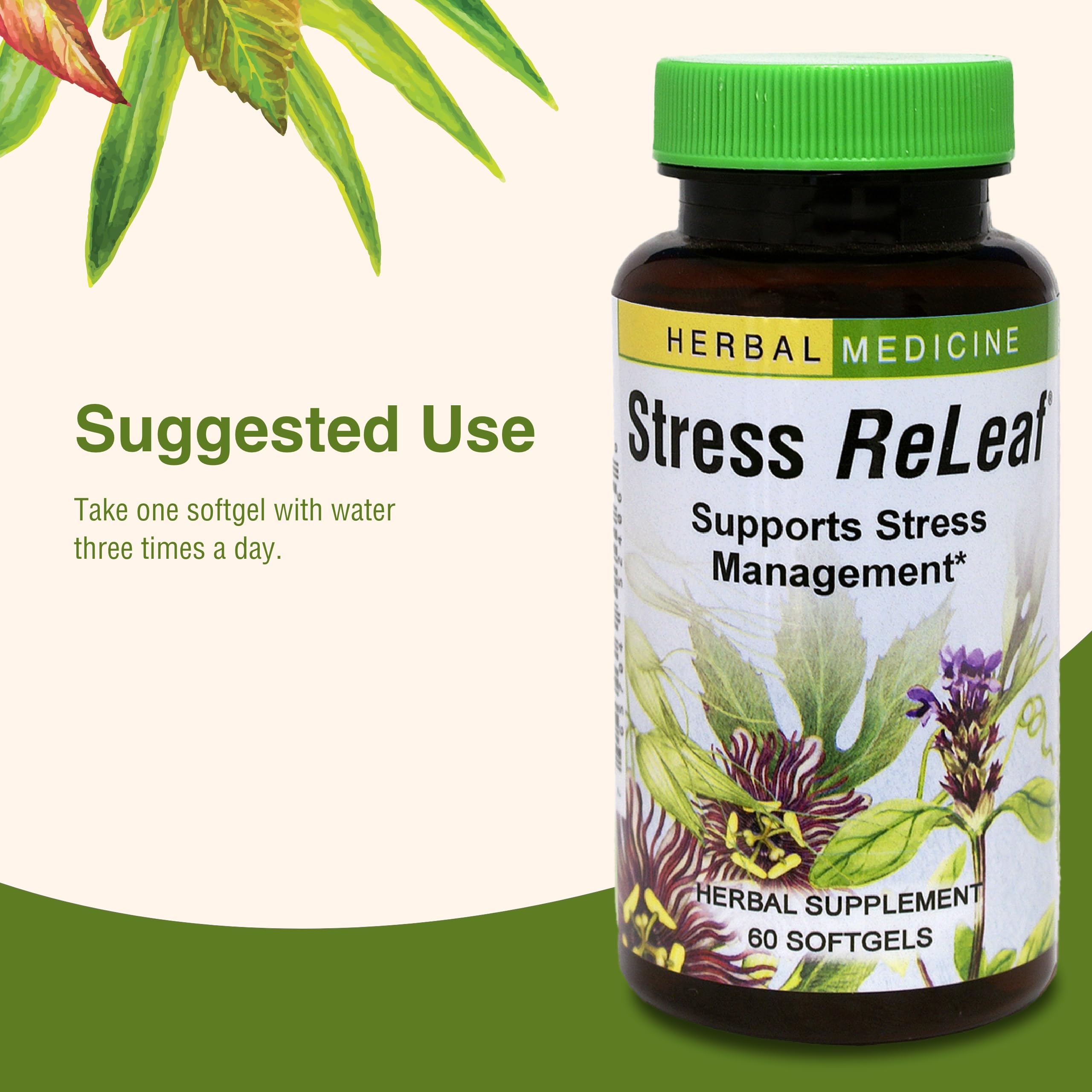 Relaxing desk scene with Herbs Etc Stress ReLeaf setup.