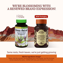 Closeup of Herbs Etc Stress ReLeaf softgels for easy daily use.