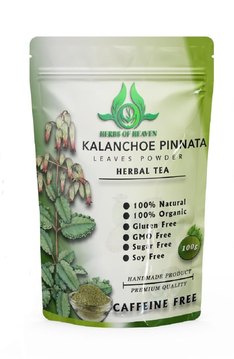 Herbs of Heaven Kalanchoe Pinnata powder being added to a smoothie for daily wellness.