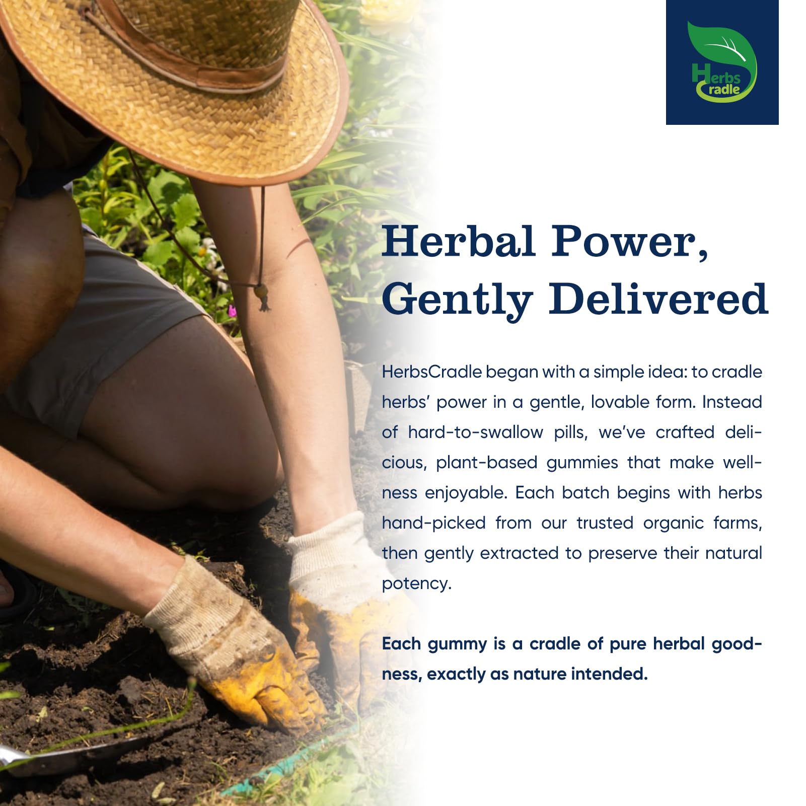 Herbscradle Eyebright Gummies packaging shows clean, plant-based ingredients.