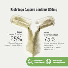 Herbsforever Gurmar capsules label showing clean herbal formula for digestive balance