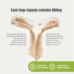 Close-up of Herbsforever Stress Ez capsules for convenient herbal stress support.