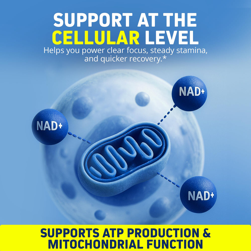 Herbtonics Liposomal NAD+ scoop dispensing a measured dose.