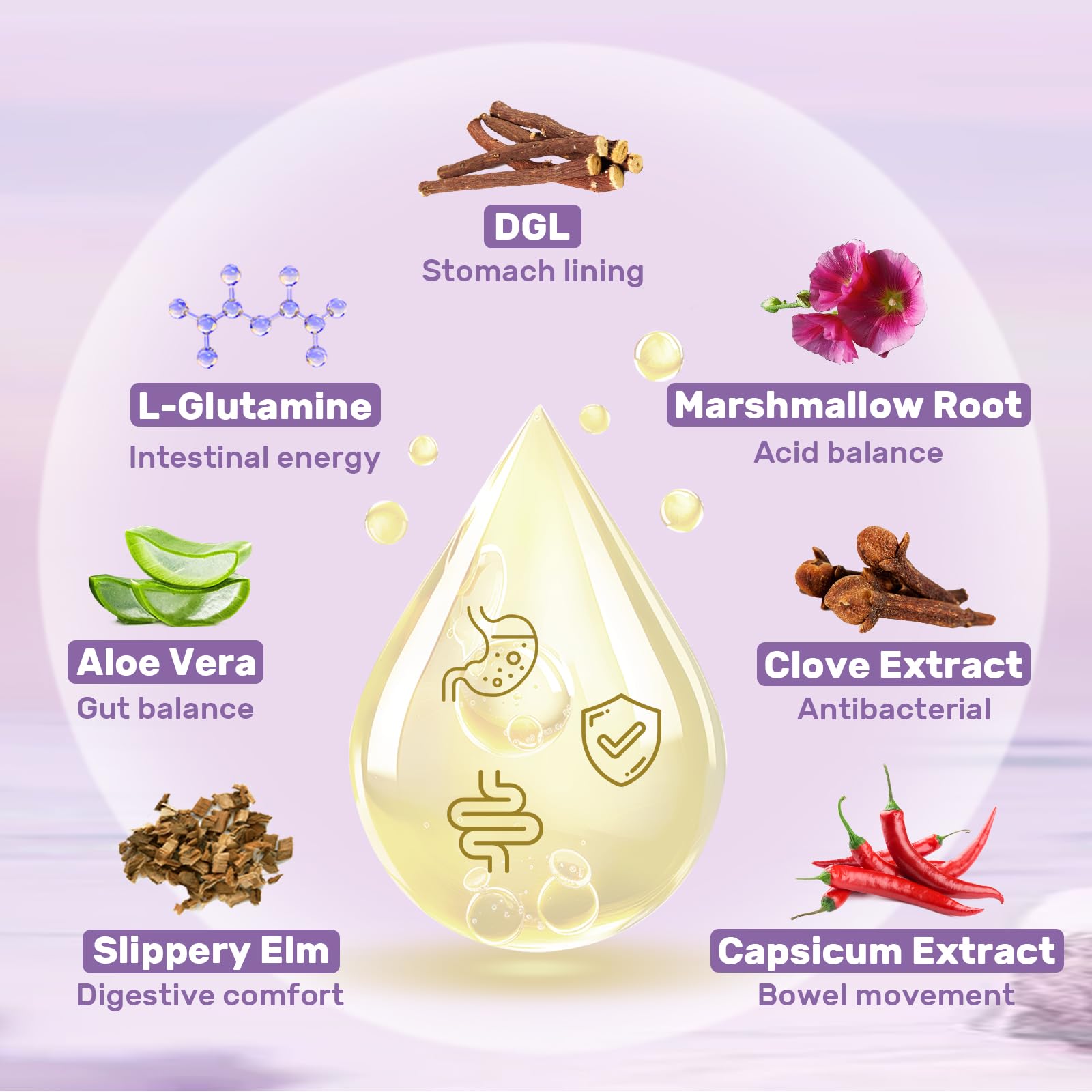Ingredients lineup featuring L-Glutamine and Marshmallow in a plant-based formula