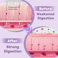 Illustration of liposomal encapsulation for enhanced nutrient delivery