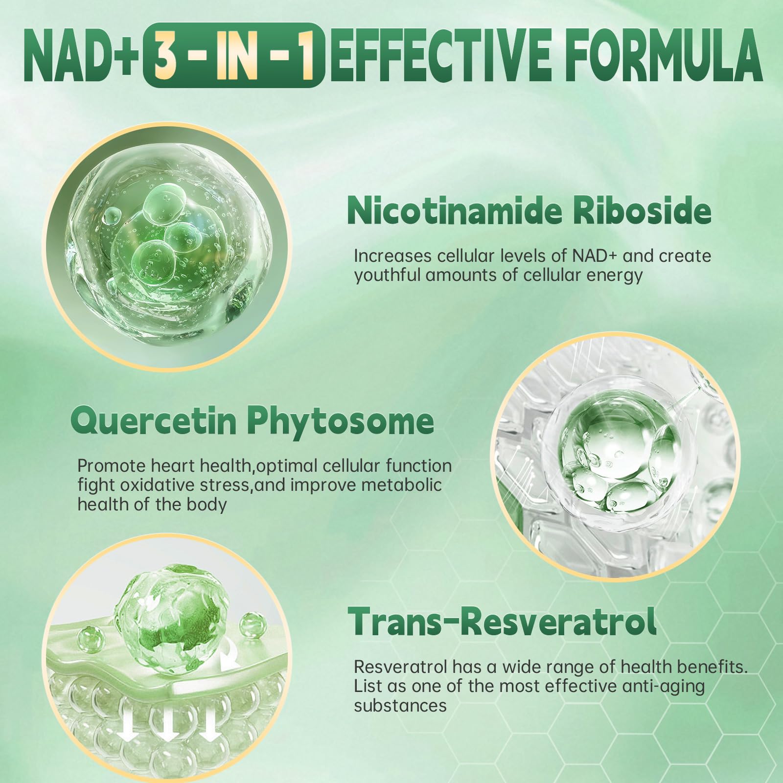 HHerbionix NAD Resveratrol ingredients graphic features NR resveratrol and quercetin