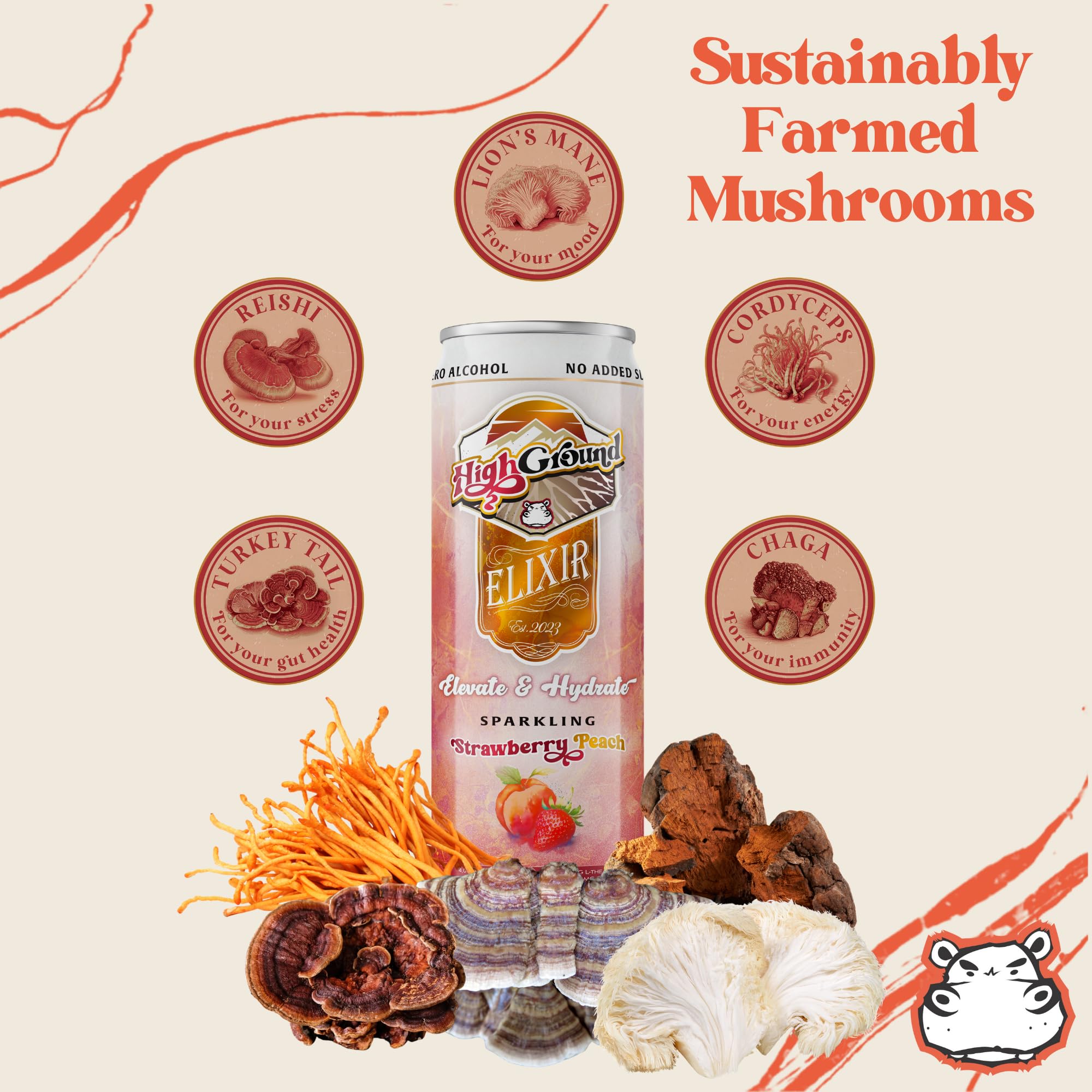 High Ground Elixir label closeup emphasizing natural ingredients and caffeine-free formula