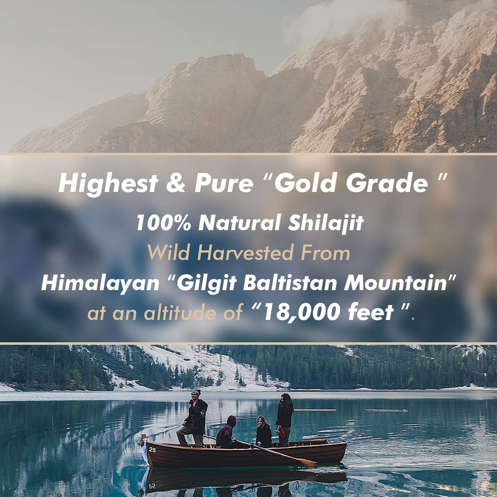 Hima Shilajatu energy and vitality support through natural resin