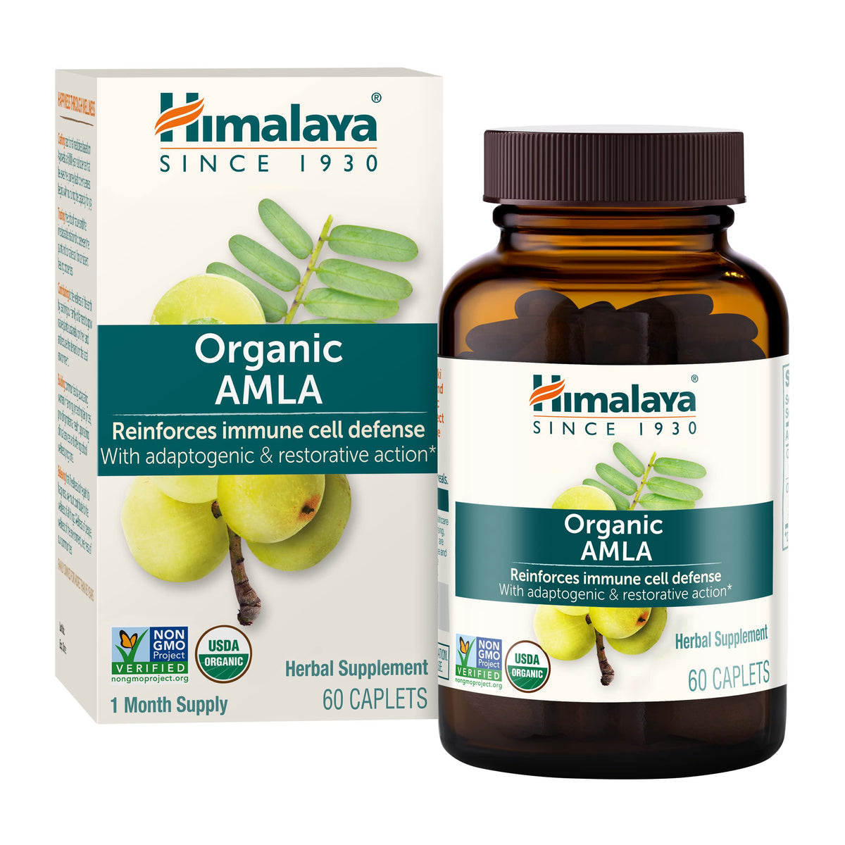 Himalaya Amla bottle front displaying USDA Organic packaging for daily immune support.