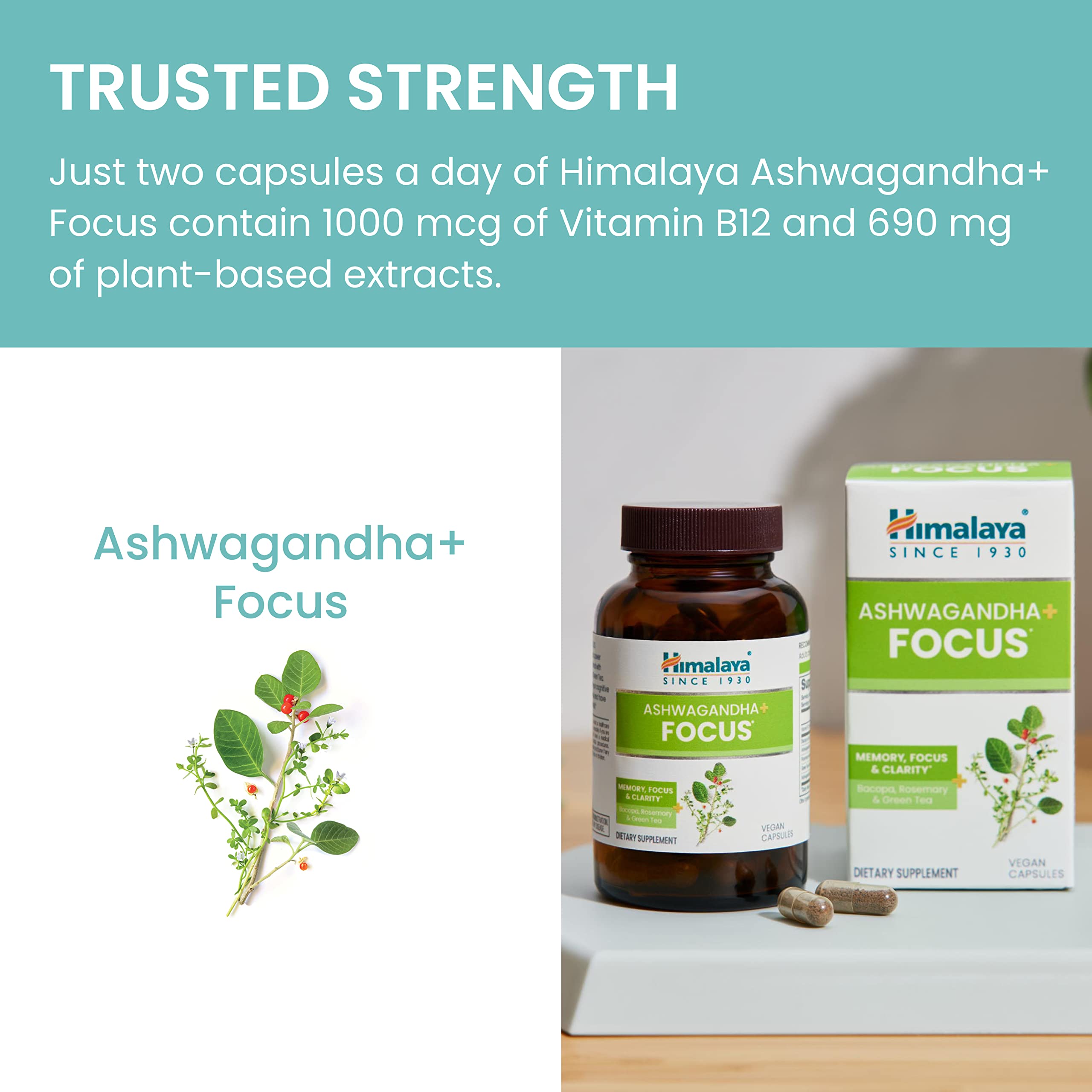 Himalaya Ashwagandha Focus packaging shows vegan, non-GMO label.